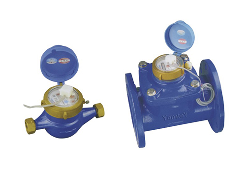 Remote water meter